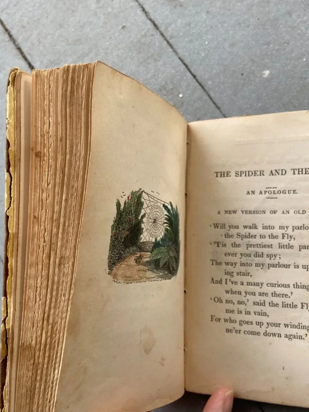 Antique 1847 Mary Howitt Sketches of Natural History Victorian Illustrated Book